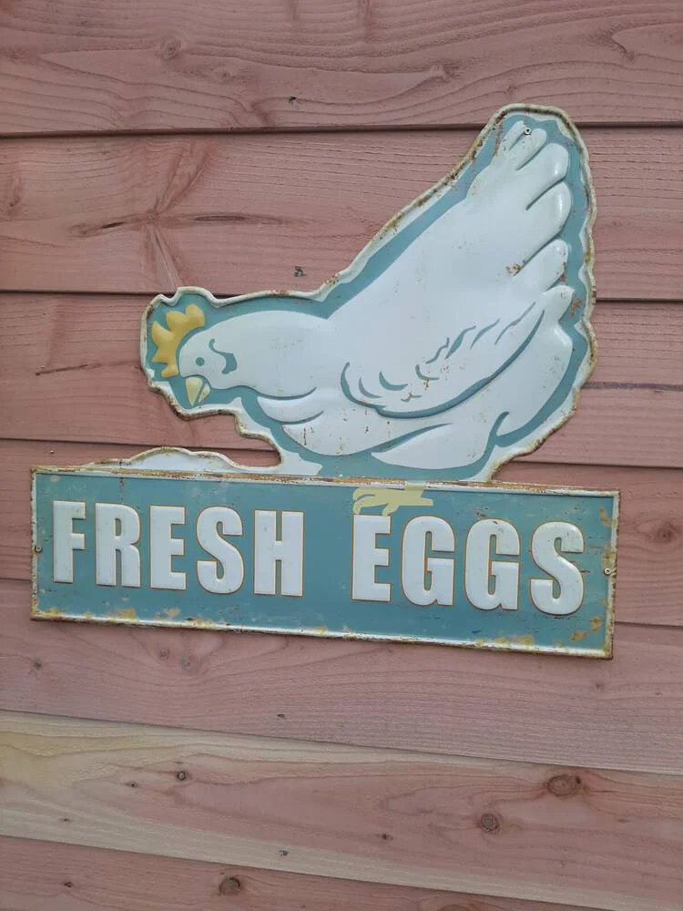 Uitleg soorten eieren